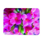 Bright Happy Kalanchoe Flowers Roze Magenta Paars Magneet (Horizontaal)