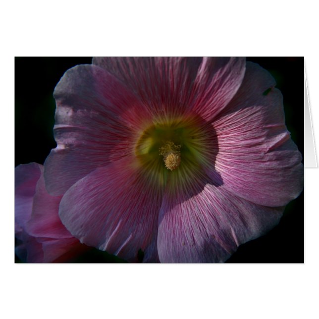 Bright Hollyhock (Voorkant Horizontaal)