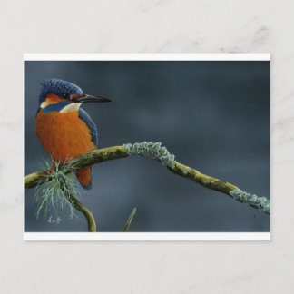Bright Kingfisher cadeautjes Briefkaart