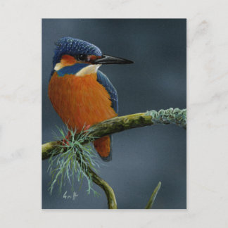 Bright Kingfisher cadeautjes Briefkaart