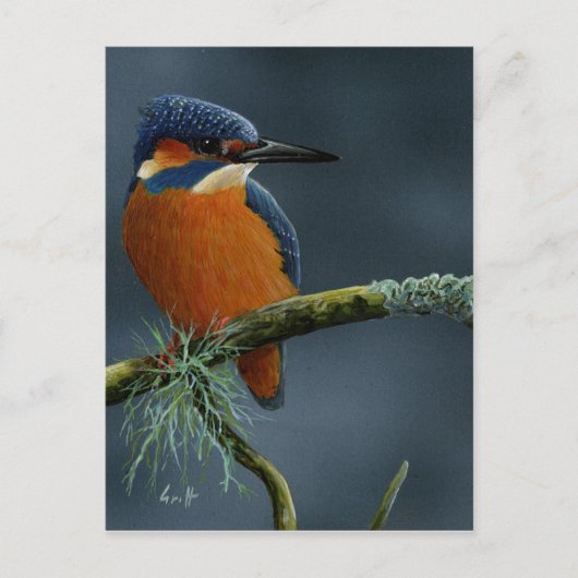 Bright Kingfisher cadeautjes Briefkaart (Voorkant)