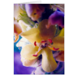 Bright-lentestventiel