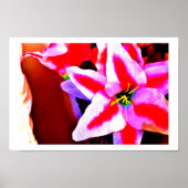 Bright Lily Poster (Voorkant)