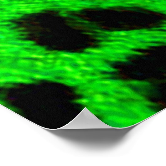 BRIGHT NEON GREEN LIMOEN BLACK ANIMAAL PRINT PATTE (Hoek)