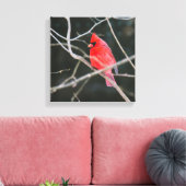 Bright noordelijke kardinaal canvas afdruk (Insitu (Woonkamer))