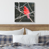 Bright noordelijke kardinaal canvas afdruk (Insitu (Slaapkamer))