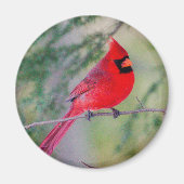 Bright Northern Cardinaal Magnet (Voorkant)