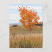 Bright October  Briefkaart (Voorkant)