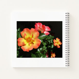 Bright Orange Roses - Dark Aspect Spiral Notebook Notitieboek
