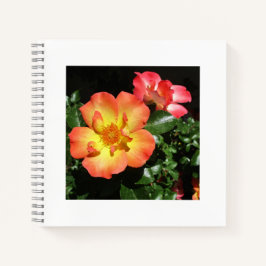 Bright Orange Roses - Dark Aspect Spiral Notebook Notitieboek