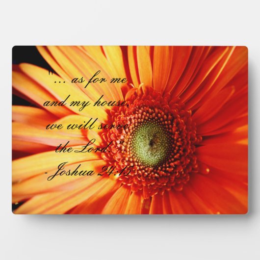 Bright Oranje Daisy Fotoplaat (voorkant)