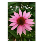 Bright Paarse Coneflower Easter Kaart (Voorkant)