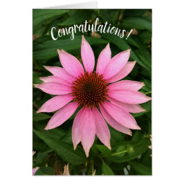Bright Paarse Coneflower Gefeliciteerd Kaart