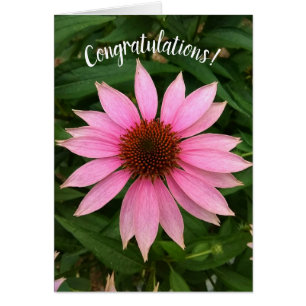 Bright Paarse Coneflower Gefeliciteerd Kaart
