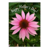 Bright Paarse Coneflower Moederdag Kaart (Voorkant)