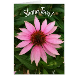 Bright Paarse Coneflower Rosh Hashanah Kaart
