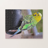 Bright parkiet vogel op cameralens legpuzzel (Horizontaal)