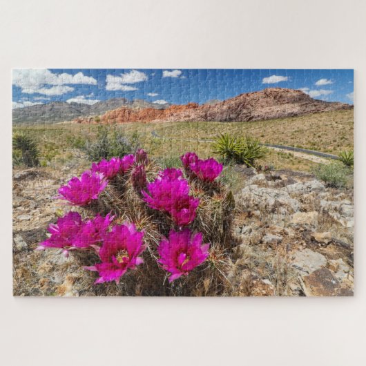 Bright pink cactus flowers in Red Rock Canyon, Nv Legpuzzel (Horizontaal)