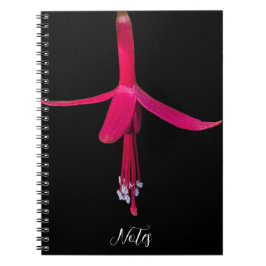 Bright Pink Fuchsia Flower on Black Notitieboek