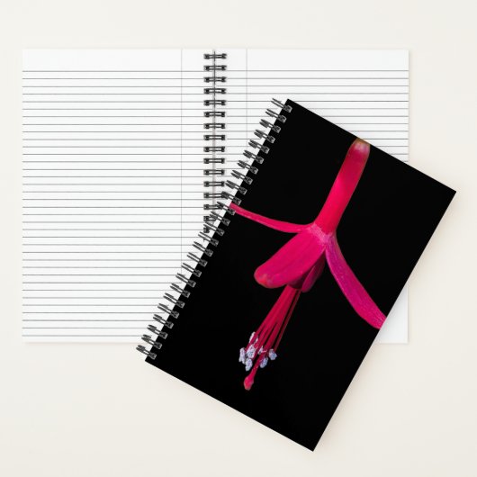 Bright Pink Fuchsia Flower on Black Notitieboek (Binnen)