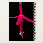 Bright Pink Fuchsia Flower on Black Notitieboek (Achterkant)
