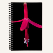 Bright Pink Fuchsia Flower on Black Notitieboek (Voorkant)