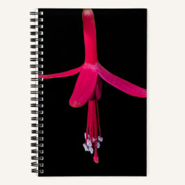 Bright Pink Fuchsia Flower on Black Notitieboek