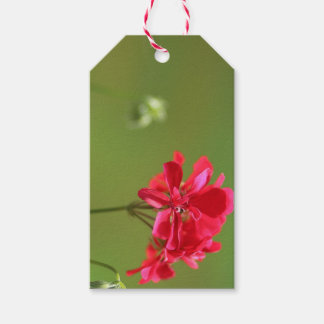 Bright Pink Geranium Bloemen Bewerkbaar Gift Label Cadeaulabel