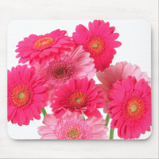 Bright Pink Gerbera Daisies Muismat