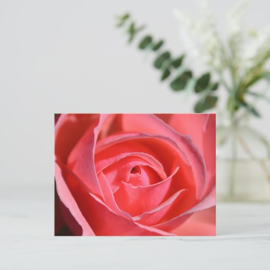 Bright Pink Rose Postcard Briefkaart (Staand voorkant)