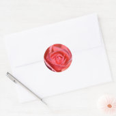 Bright Pink Rose Stickers (Envelop)