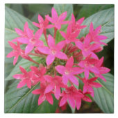 Bright Pink Tropical Flowers Tile Tegeltje (Voorkant)