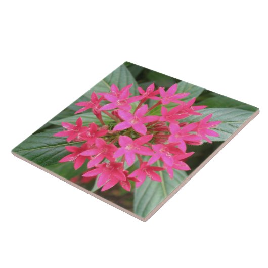 Bright Pink Tropical Flowers Tile Tegeltje (Zijkant)