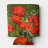 Bright Poppies Close Up Photo Blikjeskoeler (Achterkant)