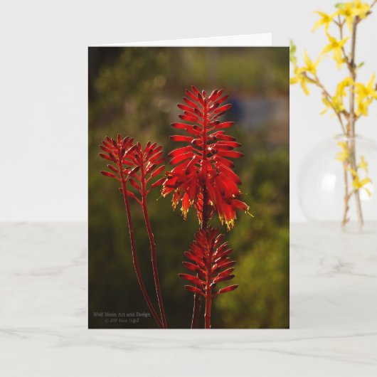 Bright Red Aloe Vera Flowers Kaart (Gele Bloem)