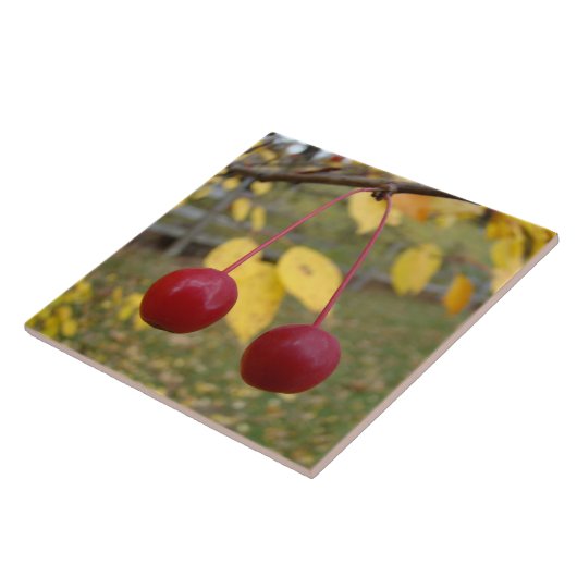 Bright Red Crab Apples Foto Tegel Tegeltje (Zijkant)