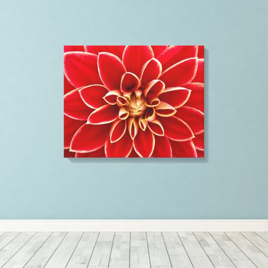 Bright Red Dahlia Closeup Canvas Afdruk (Insitu (Houten vloer))