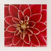 Bright Red Dahlia Closeup Legpuzzel (Horizontaal)