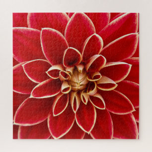 Bright Red Dahlia Closeup Legpuzzel