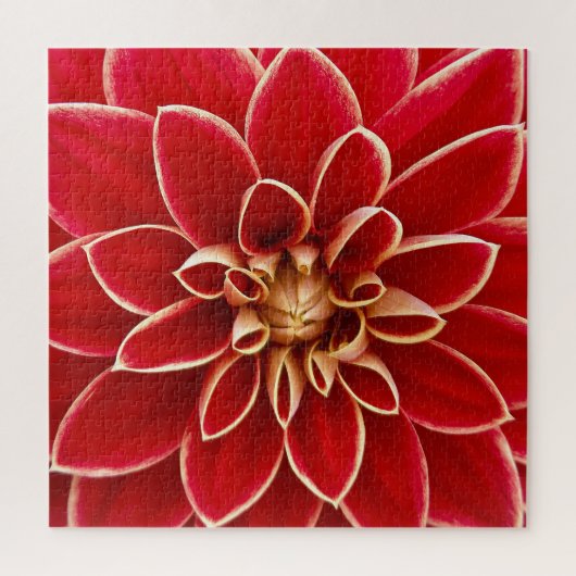 Bright Red Dahlia Closeup Legpuzzel (Verticaal)