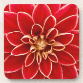 Bright Red Dahlia Flower Close Up Photo Bier Onderzetter (Voorkant)