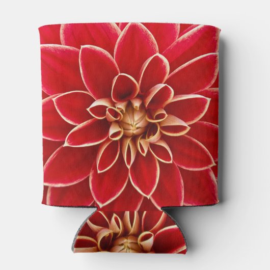 Bright Red Dahlia Flower Close Up Photo Blikjeskoeler (Achterkant)