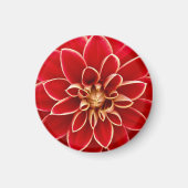 Bright Red Dahlia Magneet (Voorkant)