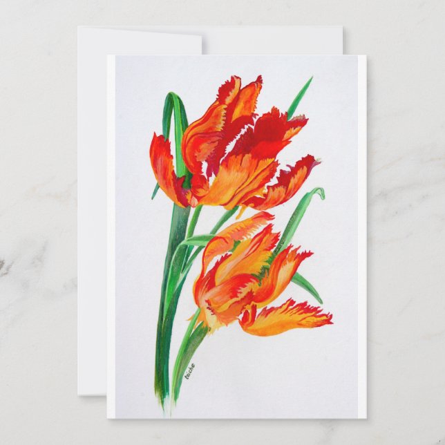 Bright Red Flamboyant Parrot Tulips (Voorkant)