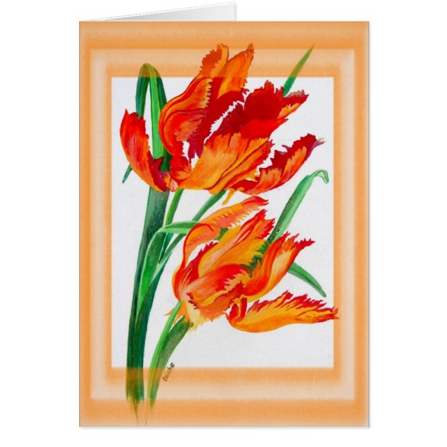 Bright Red Flamboyant Parrot Tulips (Voorkant)