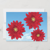 Bright Red Gerbera Daisies Zomer Vrijgezellenfeest Kaart (Achterkant)