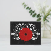 Bright Red Gerbera Daisy op zwart Briefkaart (Staand voorkant)