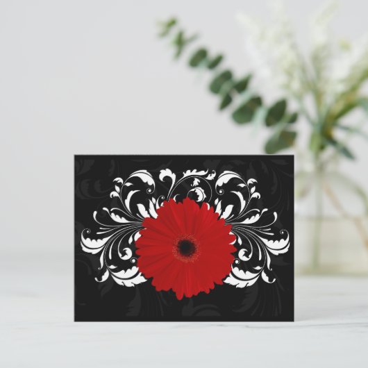 Bright Red Gerbera Daisy op zwart Briefkaart (Staand voorkant)