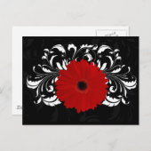 Bright Red Gerbera Daisy op zwart Briefkaart (Voorkant / Achterkant)