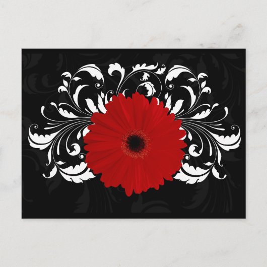 Bright Red Gerbera Daisy op zwart Briefkaart (Voorkant)